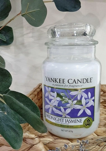 Свічка Yankee Candle "Midnight jasmine" (623 р)