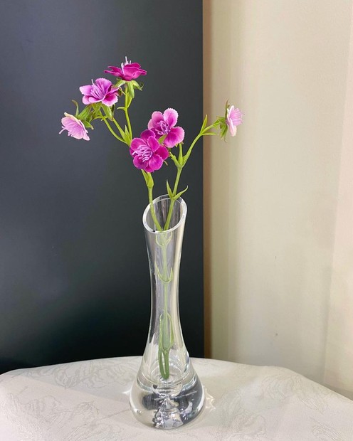 Скляна ваза на одну квітку (20 см) Vloria