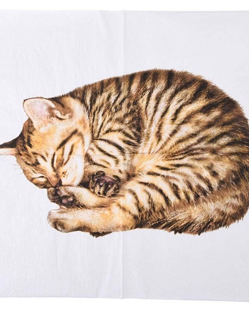 Паперові серветки "Котик" ( 17 x 17 x 2 см) Vloria