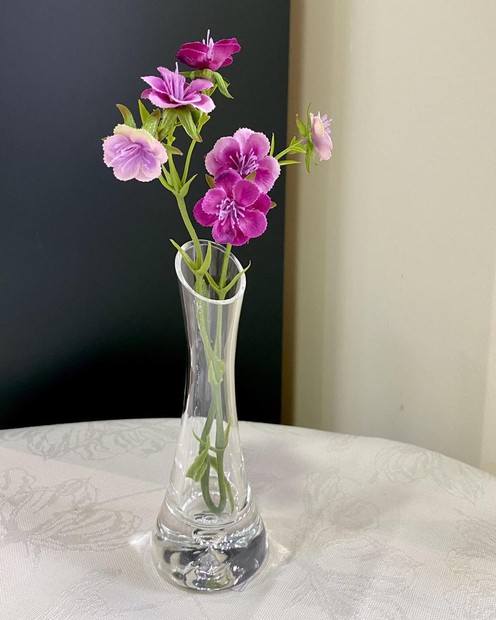 Скляна ваза на одну квітку (15 см.) Vloria