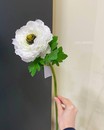 Анемон штучний ( 56 см)