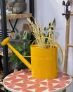 Лійка для рослин "Жовта М" (Німеччина, 10 Л )