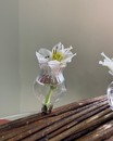Вазочка на прищіпці (скло, метал, 6*4 см) тюльпан