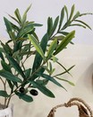 Гілка оливки (90 см)