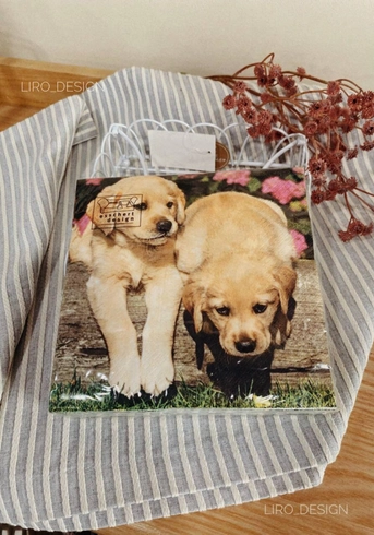 Паперові серветки "Собачки" ( 17 x 17 x 2 см)