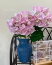Гортензія рожева гелева (66 см)