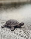Черепаха чавунна (14.7*18.7*5.6 см)