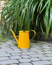 Лійка для рослин "Жовта S" ( Німеччина, 3.1 Л)